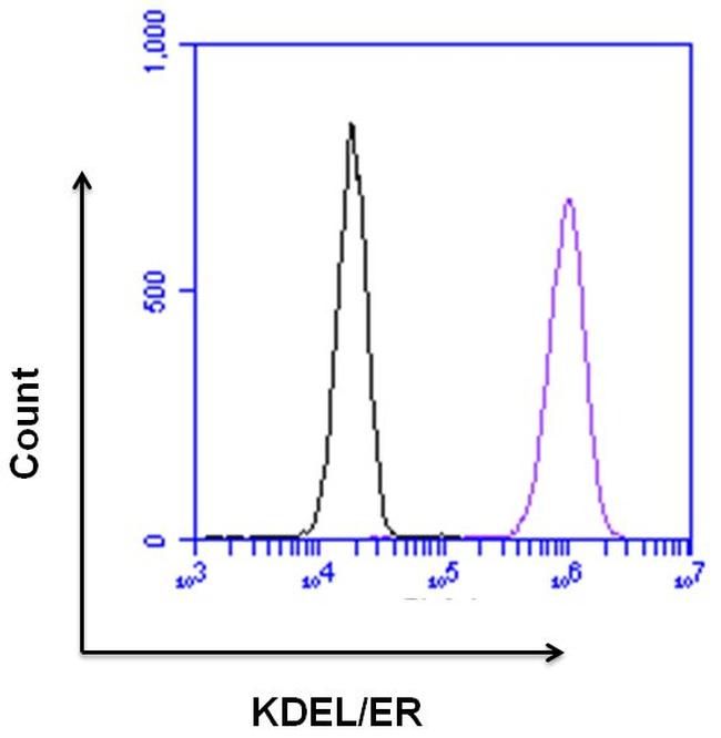 KDEL Tetrapeptide Antibody - KDEL Antibody in Flow Cytometry (Flow)