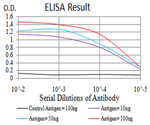 KDM1B Antibody - Black line: Control Antigen (100 ng);Purple line: Antigen(10ng);Blue line: Antigen (50 ng);Red line: Antigen (100 ng);