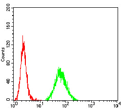 KDM3A / JMJD1A Antibody - Flow cytometric analysis of Hela cells using KDM3A mouse mAb (green) and negative control (red).