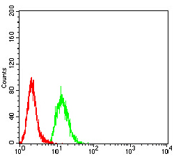 KDM3A / JMJD1A Antibody - Flow cytometric analysis of Hela cells using KDM3A mouse mAb (green) and negative control (red).