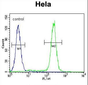 KDM3B / JMJD1B Antibody - JHDM2b Antibody flow cytometry of HeLa cells (right histogram) compared to a negative control cell (left histogram). FITC-conjugated goat-anti-rabbit secondary antibodies were used for the analysis.