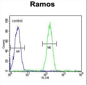 KDM3B / JMJD1B Antibody - JHDM2b Antibody flow cytometry of Ramos cells (right histogram) compared to a negative control cell (left histogram). FITC-conjugated goat-anti-rabbit secondary antibodies were used for the analysis.