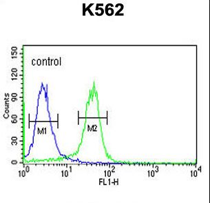KDM4B / JMJD2B Antibody - JMJD2B Antibody flow cytometry of K562 cells (right histogram) compared to a negative control cell (left histogram). FITC-conjugated goat-anti-rabbit secondary antibodies were used for the analysis.