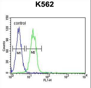 KDM4C / JMJD2C Antibody - JMJD2C Antibody flow cytometry of K562 cells (right histogram) compared to a negative control cell (left histogram). FITC-conjugated goat-anti-rabbit secondary antibodies were used for the analysis.