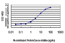 KDM5A / JARID1A Antibody - Detection limit for recombinant GST tagged JARID1A is approximately 0.03 ng/ml as a capture antibody.