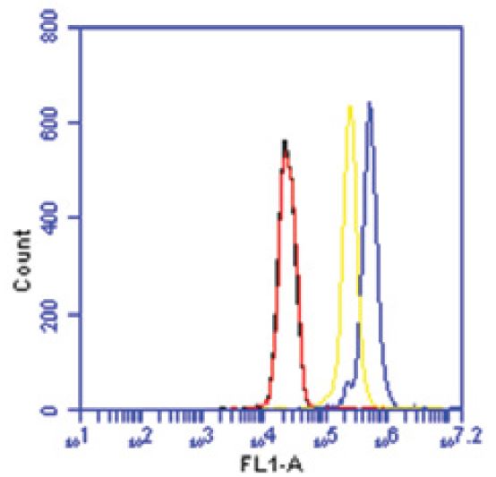 KDM5B / JARID1B Antibody - Flow cytometry of HeLa cells with JARID1 antibody. Yellow: 5 ug/ml, Blue: 10 ug/ml, Black: Negative control.