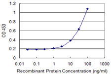 KEL / CD238 Antibody - Detection limit for recombinant GST tagged KEL is 1 ng/ml as a capture antibody.