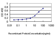 KHK / Ketohexokinase Antibody - Detection limit for recombinant GST tagged KHK is approximately 0.3 ng/ml as a capture antibody.