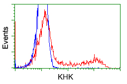 KHK / Ketohexokinase Antibody - HEK293T cells transfected with either overexpress plasmid (Red) or empty vector control plasmid (Blue) were immunostained by anti-KHK antibody, and then analyzed by flow cytometry.