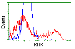 KHK / Ketohexokinase Antibody - HEK293T cells transfected with either overexpress plasmid (Red) or empty vector control plasmid (Blue) were immunostained by anti-KHK antibody, and then analyzed by flow cytometry.