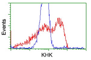 KHK / Ketohexokinase Antibody - HEK293T cells transfected with either overexpress plasmid (Red) or empty vector control plasmid (Blue) were immunostained by anti-KHK antibody, and then analyzed by flow cytometry.