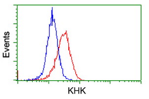 KHK / Ketohexokinase Antibody - Flow cytometry of HeLa cells, using anti-KHK antibody, (Red), compared to a nonspecific negative control antibody, (Blue).