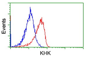 KHK / Ketohexokinase Antibody - Flow cytometry of Jurkat cells, using anti-KHK antibody, (Red), compared to a nonspecific negative control antibody, (Blue).