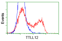 KIAA0153 / TTLL12 Antibody - HEK293T cells transfected with either pCMV6-ENTRY TTLL12 (Red) or empty vector control plasmid (Blue) were immunostained with anti-TTLL12 mouse monoclonal(Dilution 1:1,000), and then analyzed by flow cytometry.
