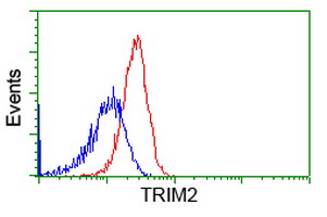 KIAA0517 / TRIM2 Antibody - Flow cytometry of HeLa cells, using anti-TRIM2 antibody (Red), compared to a nonspecific negative control antibody (Blue).