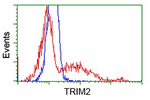 KIAA0517 / TRIM2 Antibody - HEK293T cells transfected with either overexpress plasmid (Red) or empty vector control plasmid (Blue) were immunostained by anti-TRIM2 antibody, and then analyzed by flow cytometry.