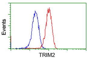 KIAA0517 / TRIM2 Antibody - Flow cytometry of Jurkat cells, using anti-TRIM2 antibody (Red), compared to a nonspecific negative control antibody (Blue).
