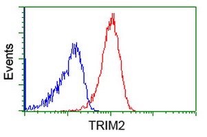 KIAA0517 / TRIM2 Antibody - Flow cytometry of Jurkat cells, using anti-TRIM2 antibody (Red), compared to a nonspecific negative control antibody (Blue).