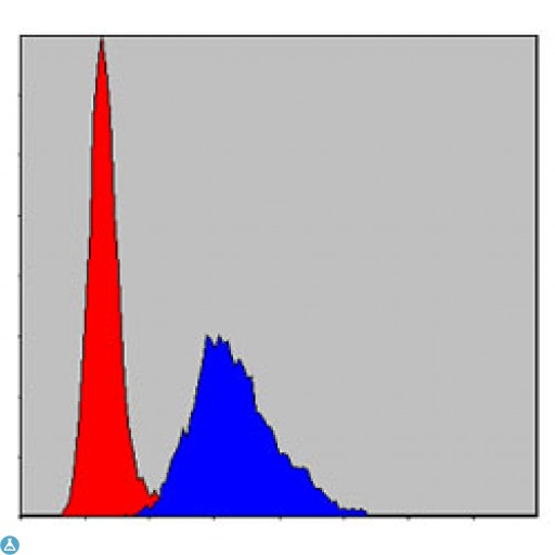 KIF22 / OBP Antibody - Flow cytometric (FCM) analysis of NIH/3T3 cells using KID Monoclonal Antibody (blue) and negative control (red).
