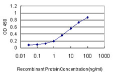 KIF2C / MCAK Antibody - Detection limit for recombinant GST tagged KIF2C is approximately 0.1 ng/ml as a capture antibody.