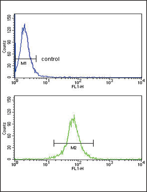 KIR2DL4 Antibody - KIR2DL4 Antibody flow cytometry of MDA-MB231 cells (bottom histogram) compared to a negative control cell (top histogram). FITC-conjugated goat-anti-rabbit secondary antibodies were used for the analysis.