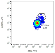 KIR2DL4 Antibody - Surface staining of CD158d in human peripheral blood using anti-CD158d (mAB#33) APC.