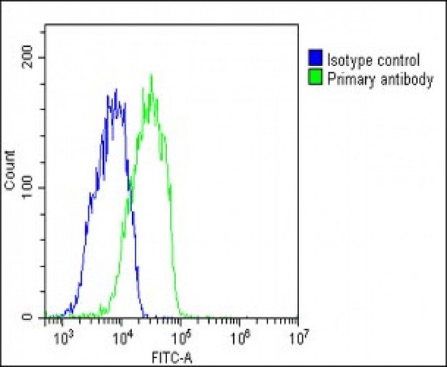 KL / Klotho Antibody - Overlay histogram showing HepG2 cells stained with KL Antibody (Center) (green line). The cells were fixed with 2% paraformaldehyde (10 min) and then permeabilized with 90% methanol for 10 min. The cells were then icubated in 2% bovine serum albumin to block non-specific protein-protein interactions followed by the antibody (KL Antibody (Center), 1:25 dilution) for 60 min at 37°C. The secondary antibody used was Goat-Anti-Rabbit IgG, DyLight® 488 Conjugated Highly Cross-Adsorbed (1583138) at 1/200 dilution for 40 min at 37°C. Isotype control antibody (blue line) was rabbit IgG1 (1µg/1x10^6 cells) used under the same conditions. Acquisition of >10, 000 events was performed.