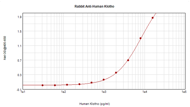 KL / Klotho Antibody - Anti-Human Klotho Sandwich ELISA