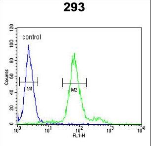 KLF16 Antibody - KLF16 Antibody flow cytometry of 293 cells (right histogram) compared to a negative control cell (left histogram). FITC-conjugated goat-anti-rabbit secondary antibodies were used for the analysis.