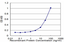 KLK10 / Kallikrein 10 Antibody - Detection limit for recombinant GST tagged KLK10 is approximately 1 ng/ml as a capture antibody.