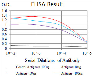 KLK3 / PSA Antibody - Red: Control Antigen (100ng); Purple: Antigen (10ng); Green: Antigen (50ng); Blue: Antigen (100ng);