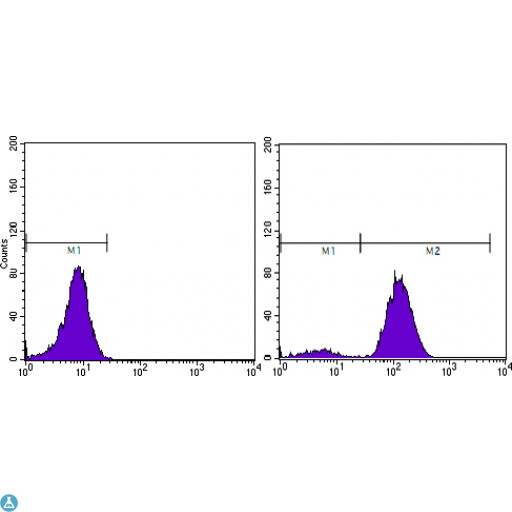 KLK3 / PSA Antibody - Flow cytometric (FCM) analysis of PC-3 cells using PSA Monoclonal Antibody (right) and negative control (left).