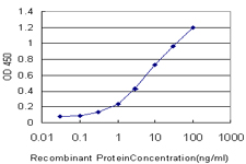 KLK6 / Kallikrein 6 Antibody - Detection limit for recombinant GST tagged KLK6 is approximately 0.3 ng/ml as a capture antibody.