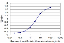 KLRB1 / CD161 Antibody - Detection limit for recombinant GST tagged KLRB1 is approximately 0.1 ng/ml as a capture antibody.