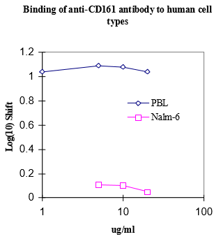 KLRB1 / CD161 Antibody