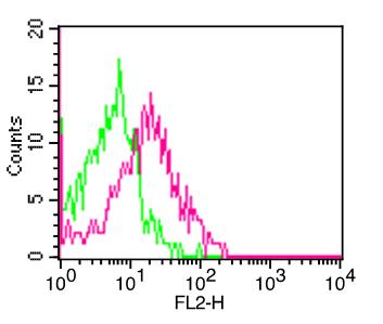 KLRB1 / CD161 Antibody - Fig-1: Cell surfce flow analysis of hCD161 in human PBMC (Lymphocyte gated) using 0.5 µg/10^6 cells of hCD161. Green represents isotype control; red represents anti-CD161antibody. Goat anti-mouse PE conjugate was used as secondary antibody.