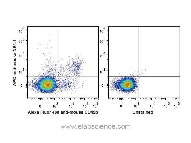 Klrb1c / CD161 (Mouse) Antibody