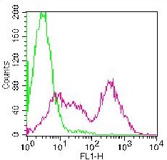 KLRC1 / NKG2A / CD159a Antibody - Fig-1: Flowcytometric analysis of Rat NKG2A/C/E antibody. Anti- Rat NKG2A/C/E was tested in rat splenocytes. Green line represent Isotype control and red line represent Anti- Rat NKG2A/C/E antibody. 0.5 ug antibody was used. Goat anti-mouse FITC was used as secondary antibody.