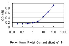 KLRC3 / NKG2E Antibody - Detection limit for recombinant GST tagged KLRC3 is approximately 0.3 ng/ml as a capture antibody.