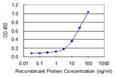 KLRC4 Antibody - Detection limit for recombinant GST tagged KLRC4 is 0.3 ng/ml as a capture antibody.