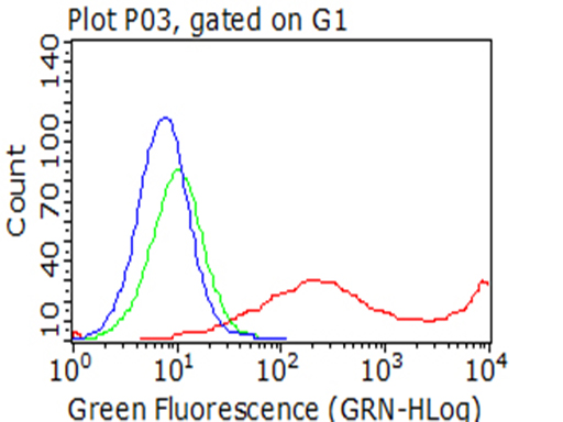 KLRD1 / CD94 Antibody - Flow cytometric analysis of living 293T cells transfected with KLRD1 overexpression plasmid , Red)/empty vector  Blue) using anti-KLRD1 antibody. Cells incubated with a non-specific antibody. (Green) were used as isotype control. (1:100)