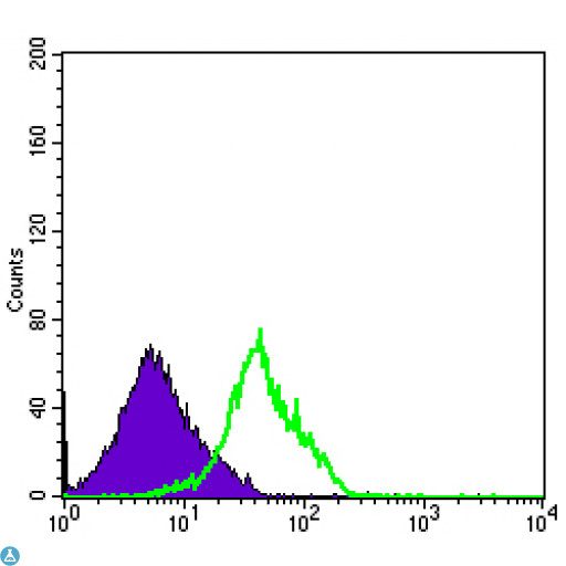 KLRD1 / CD94 Antibody - Flow cytometric (FCM) analysis of RAJI cells using CD94 Monoclonal Antibody (green) and negative control (purple).