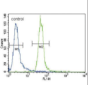 KMT2A / MLL Antibody - HRX Antibody flow cytometry of CEM cells (right histogram) compared to a negative control cell (left histogram). FITC-conjugated goat-anti-rabbit secondary antibodies were used for the analysis.