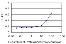 KPNA5 Antibody - Detection limit for recombinant GST tagged KPNA5 is approximately 3 ng/ml as a capture antibody.