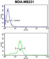 KRT14 / CK14 / Cytokeratin 14 Antibody - KRT14 Antibody flow cytometry of MDA-MB231 cells (bottom histogram) compared to a negative control cell (top histogram). FITC-conjugated goat-anti-rabbit secondary antibodies were used for the analysis.