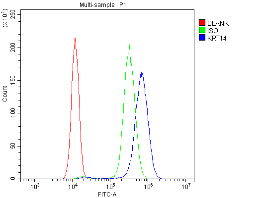 KRT14 / CK14 / Cytokeratin 14 Antibody - Flow Cytometry analysis of SiHa cells using anti-Cytokeratin 14 antibody. Overlay histogram showing SiHa cells stained with anti-Cytokeratin 14 antibody (Blue line). The cells were blocked with 10% normal goat serum. And then incubated with rabbit anti-Cytokeratin 14 Antibody (1µg/10E6 cells) for 30 min at 20°C. DyLight®488 conjugated goat anti-rabbit IgG (5-10µg/10E6 cells) was used as secondary antibody for 30 minutes at 20°C. Isotype control antibody (Green line) was rabbit IgG (1µg/10E6 cells) used under the same conditions. Unlabelled sample (Red line) was also used as a control.