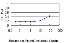 KRT33B / Keratin 33B / KRTHA3B Antibody - Detection limit for recombinant GST tagged KRTHA3B is approximately 0.03 ng/ml as a capture antibody.