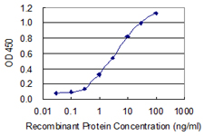 KRT34 / Keratin 34 / KRTHA4 Antibody - Detection limit for recombinant GST tagged KRT34 is 0.1 ng/ml as a capture antibody.