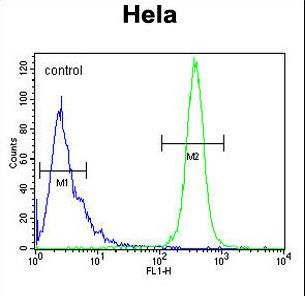 KRT78 / Keratin 78 Antibody - K2C78 Antibody flow cytometry of HeLa cells (right histogram) compared to a negative control cell (left histogram). FITC-conjugated goat-anti-rabbit secondary antibodies were used for the analysis.