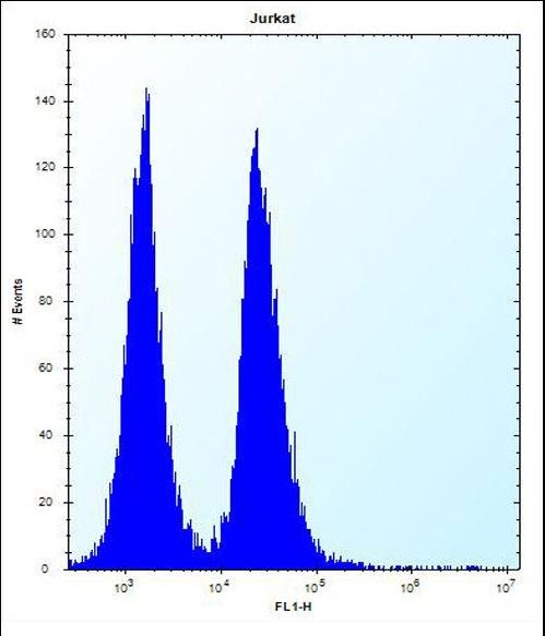KRTAP1-3 Antibody - KRTAP13-3 Antibody flow cytometry of Jurkat cells (right histogram) compared to a negative control cell (left histogram). FITC-conjugated donkey-anti-rabbit secondary antibodies were used for the analysis.
